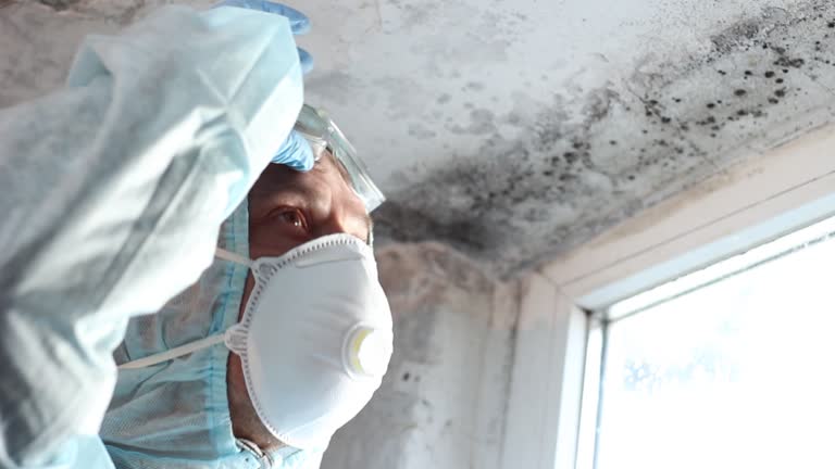 Best Biohazard Mold Removal  in Randolph, WI